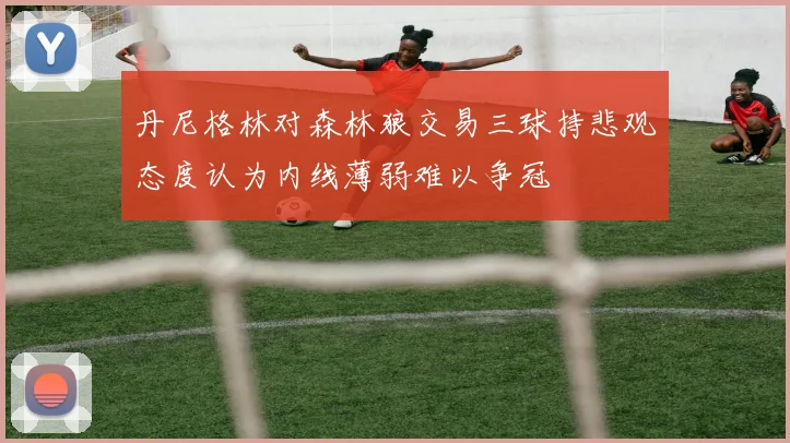 丹尼格林对森林狼交易三球持悲观态度认为内线薄弱难以争冠