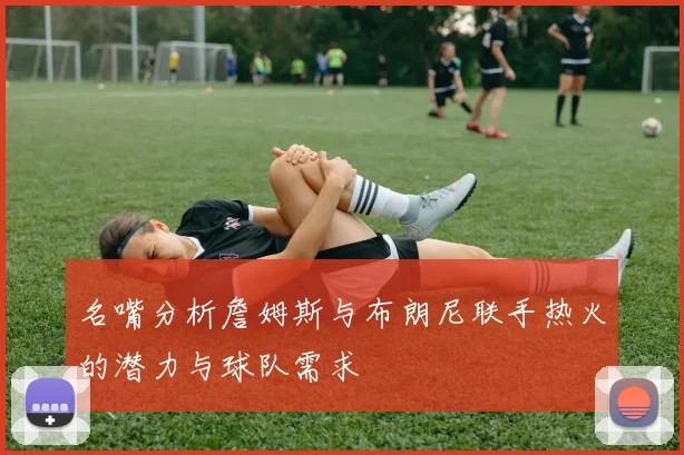 名嘴分析詹姆斯与布朗尼联手热火的潜力与球队需求
